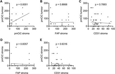 Expression of the plasma membrane citrate carrier (pmCiC) in human cancerous tissues—correlation with tumour aggressiveness